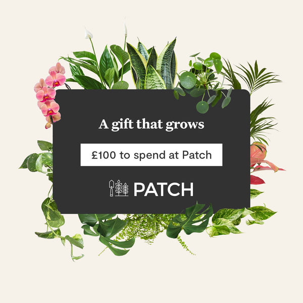 E-gift card