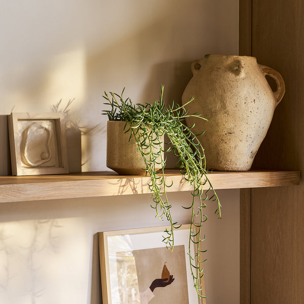 String of Fish Hooks